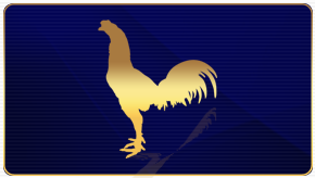ไก่ชน