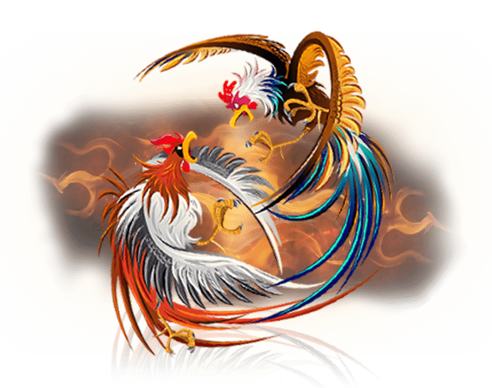 ไก่ชนออนไลน์